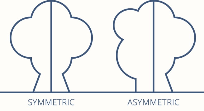 symmetic-v-asymmetric